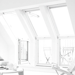 Lolands Modern Aluminum Folding Roof Window Glazed Pivot Rooflight Dormer