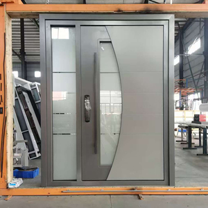 Modern Luxury Aluminum Security Metal Door
