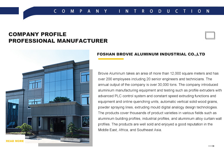 Company Profile Overview