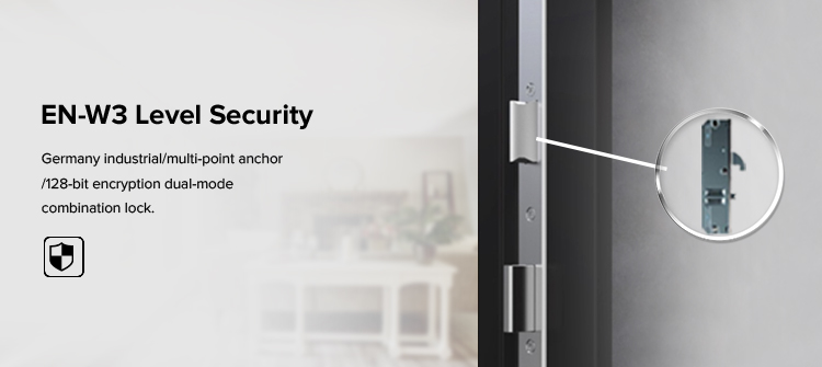 Integrated Smart Lock Options