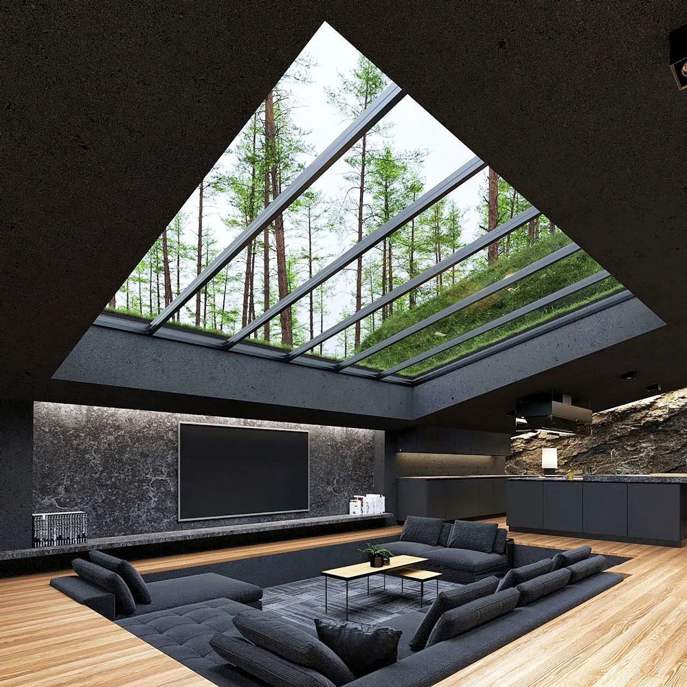 Roof Skylight Detail 3