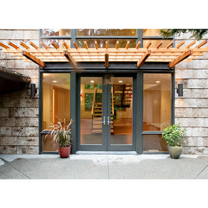 Contemporary Black Aluminum Double Swing Exterior Door