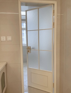 Minimalist Crittall Style Aluminum Interior Door
