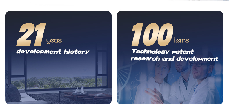 Company Profile 2