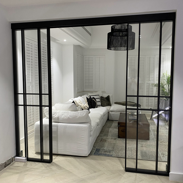Rustic Design Gray Tempered Glass Aluminum Framed French Front Steel Swing Door Crittal Glass Door for Interior