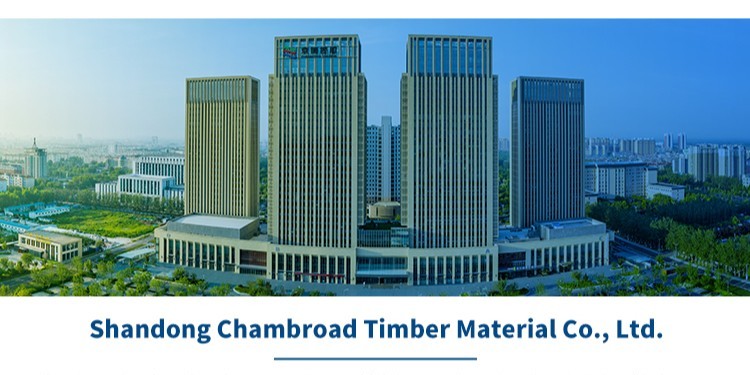 Aluminum-Clad Timber Window PHI EnerPHit Ready Uw≤0.8 W/m²K ROTO Hardware CE EN14351 Heritage Style Available