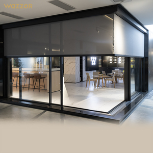 Frameless Tempered Glass Sliding Doors