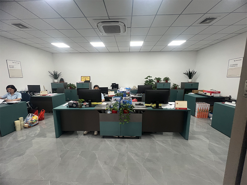 Company Overview 1