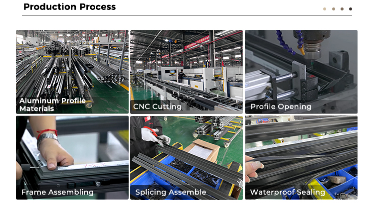 Company Profile