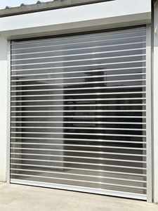 Aluminum Alloy Clear Roller Shutter Door for Commercial Fronts