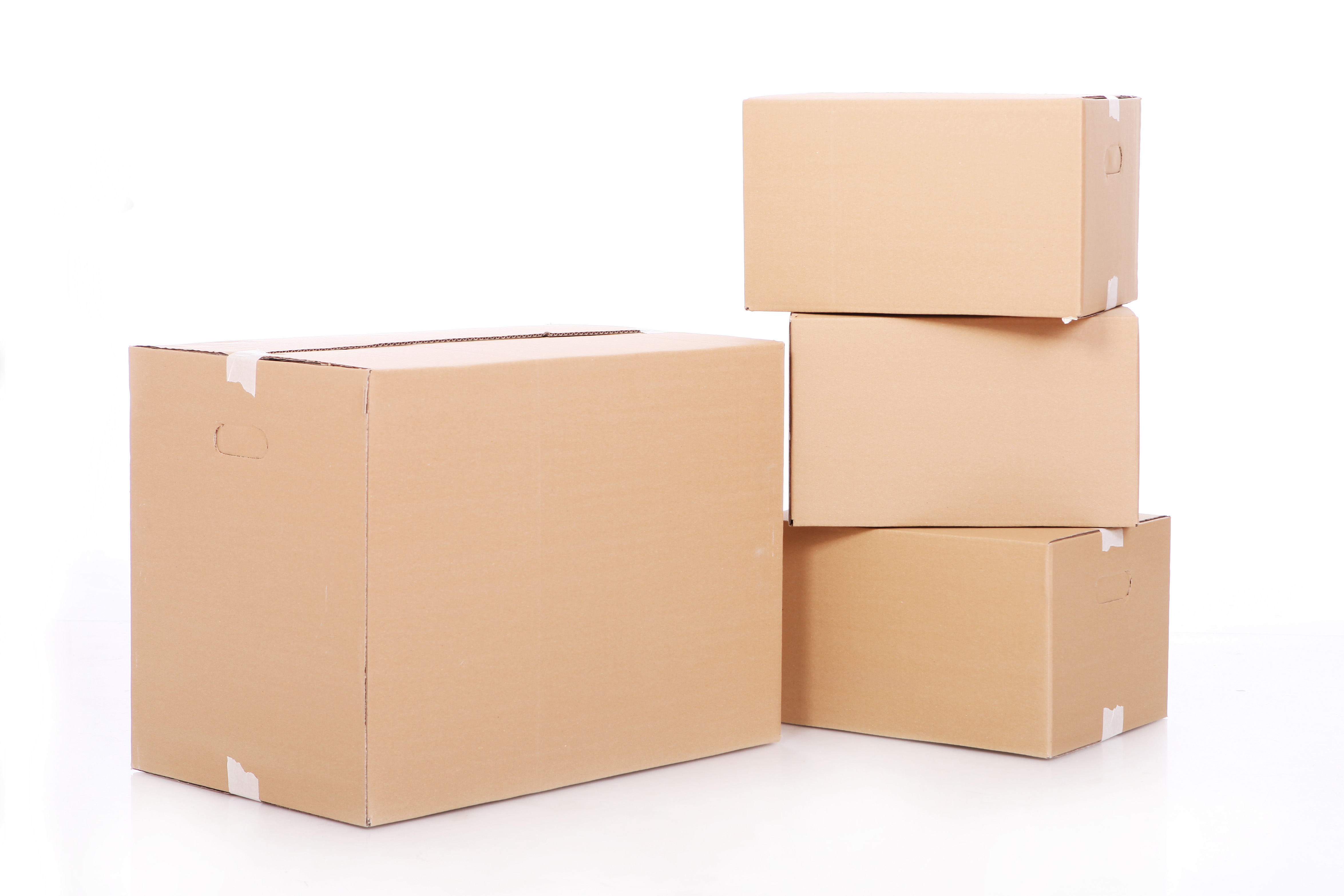 Packaging Detail 1