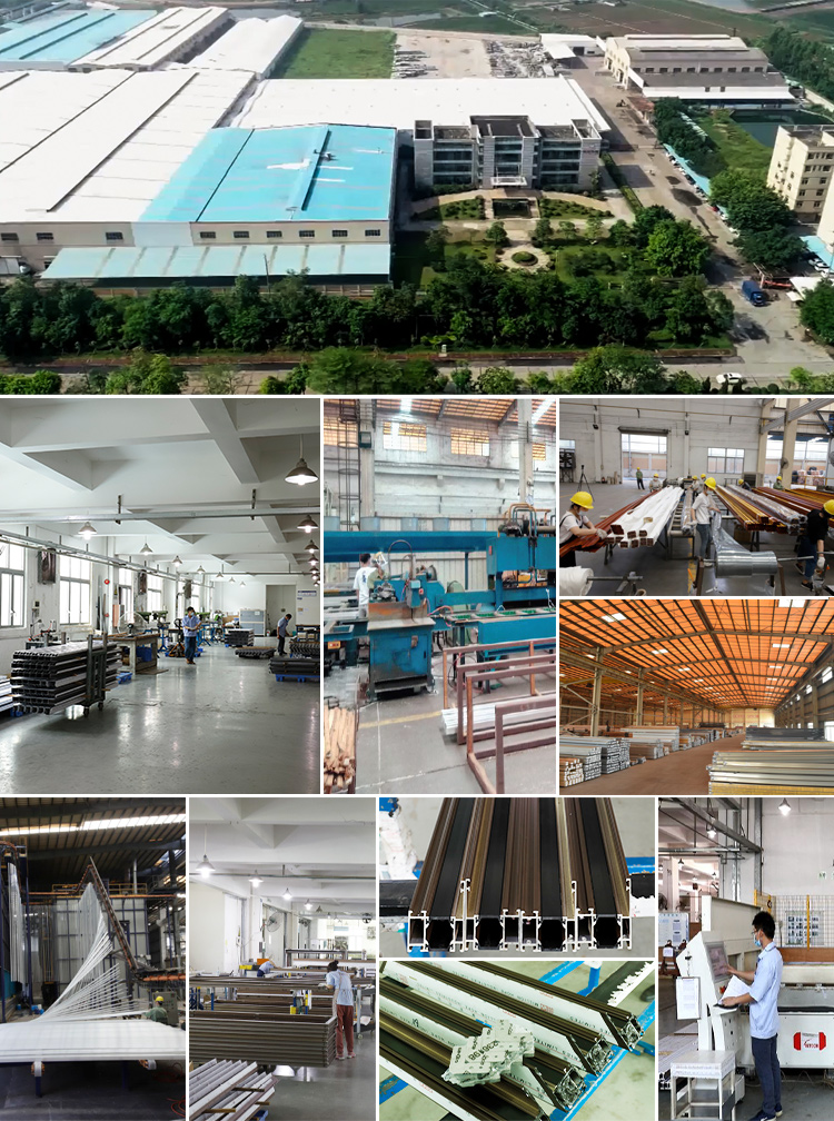 Company Profile View 2