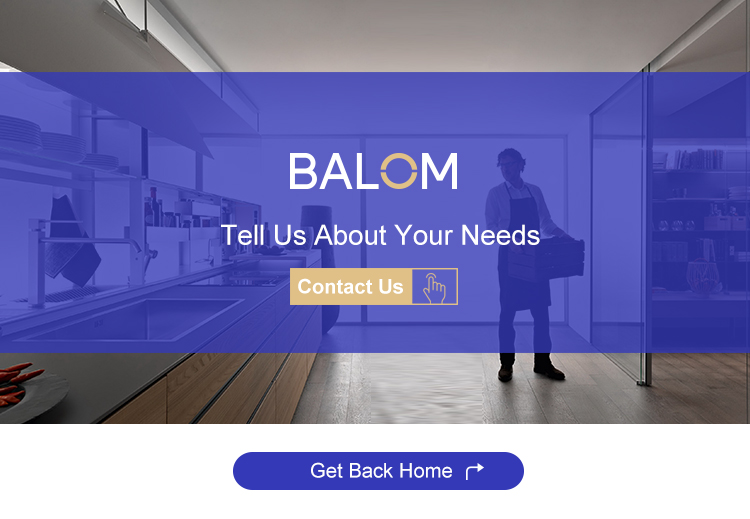 BALOM Service and Support