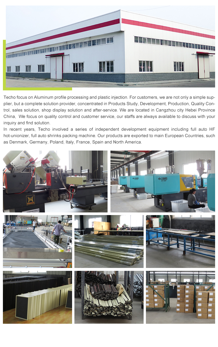 Company Profile View 2