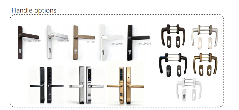 Component Showcase 2