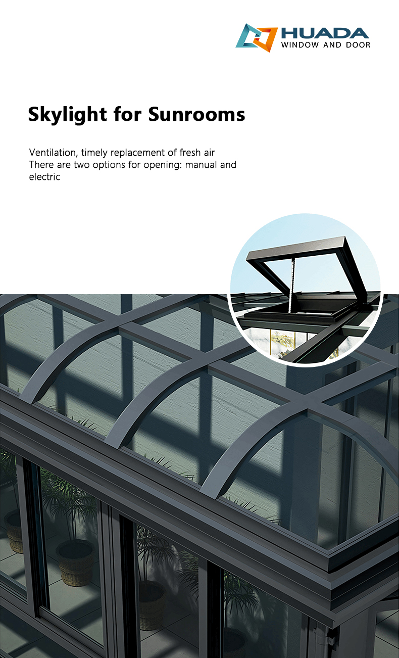 Roof Skylight Detail 1