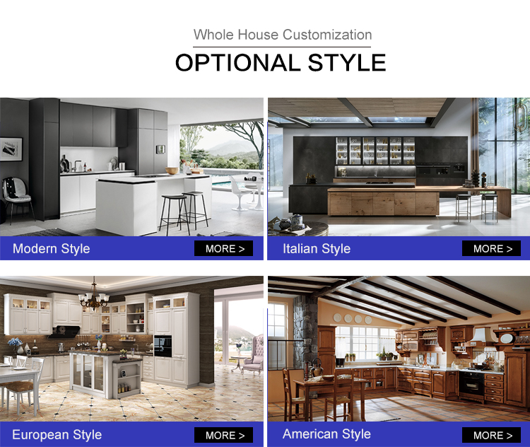 Kitchen Cabinet Style Showcase