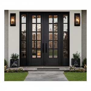 Custom Front Wrought Iron Double Glass Door