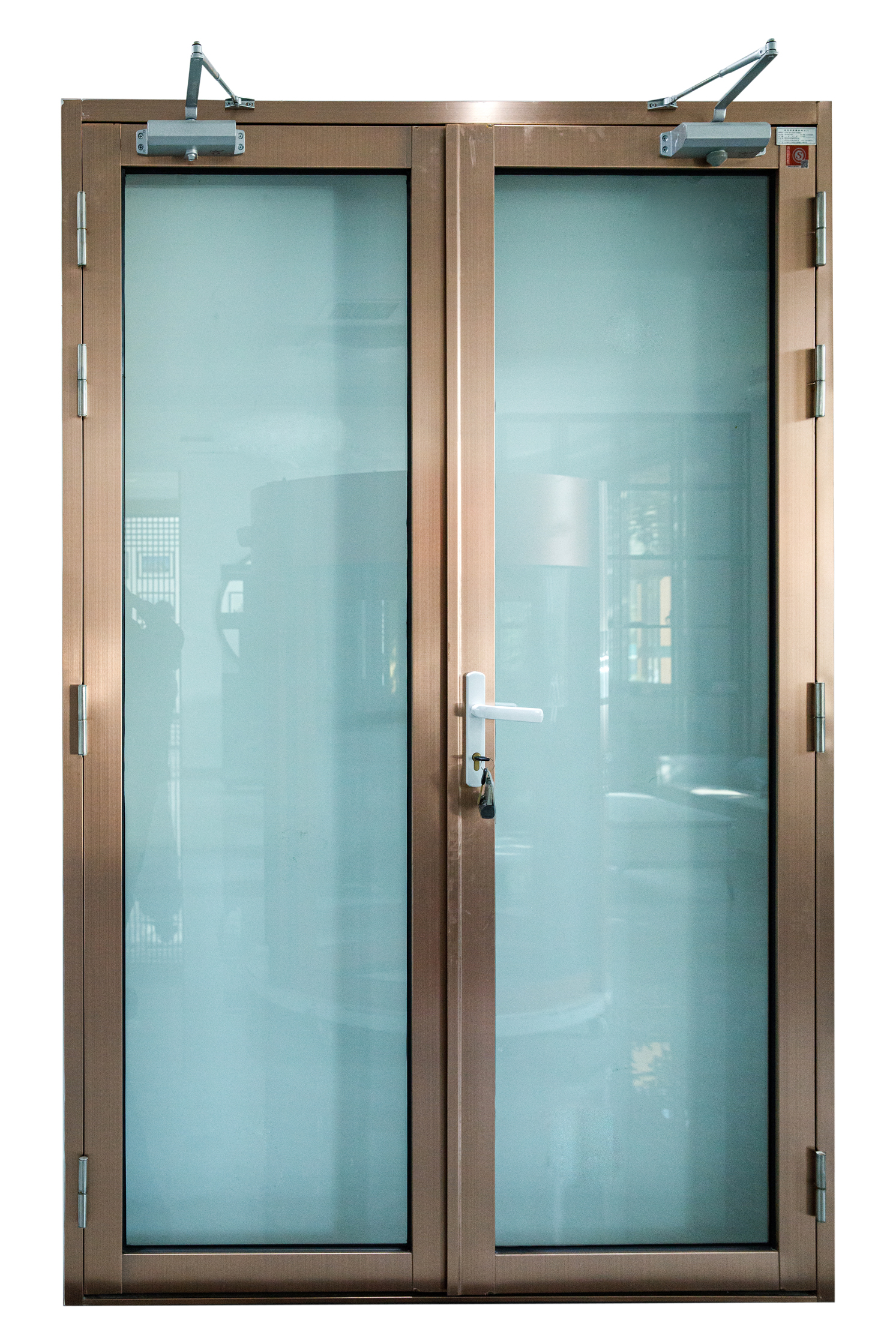 Modern Double Swing Aluminum Casement Door Assembly